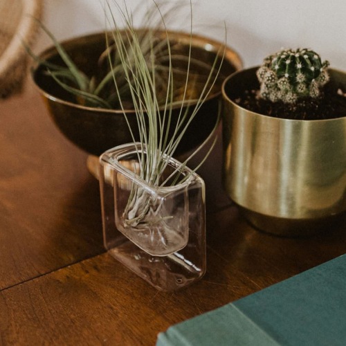 a dresser with a plant and books